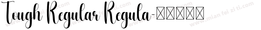 Tough Regular Regula字体转换